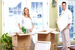 international removals